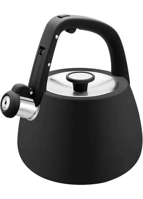 Чайник металлический 2.5 л (MR-1318-BLACK) Maestro (394162544)