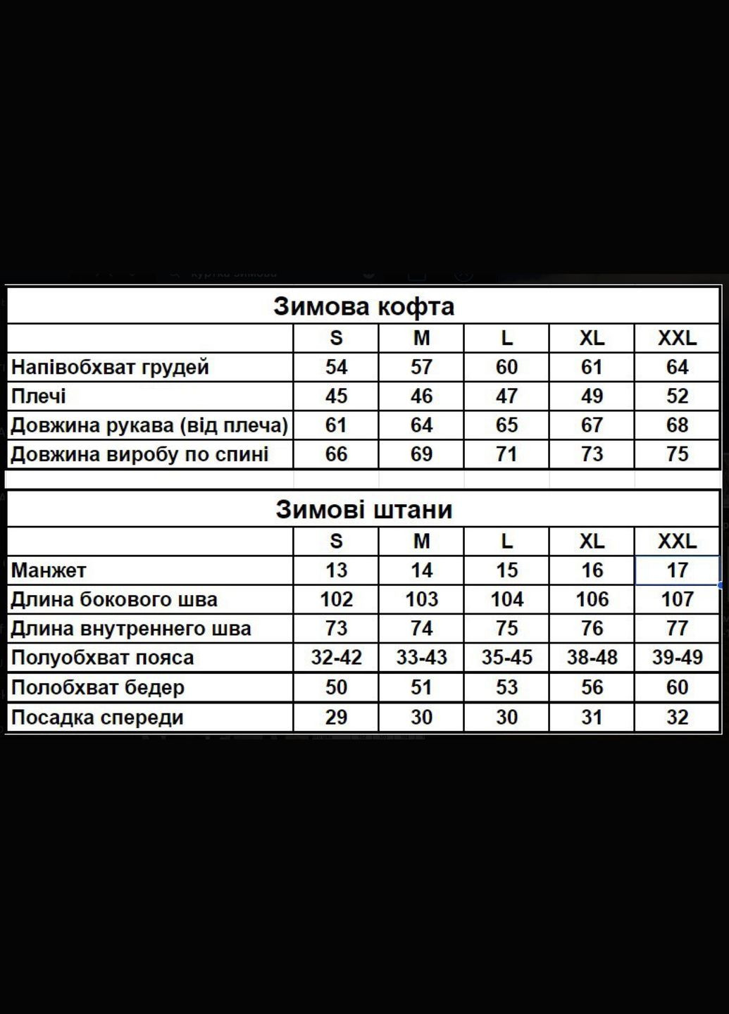 Зимний спортивный костюм No Brand (311196135)