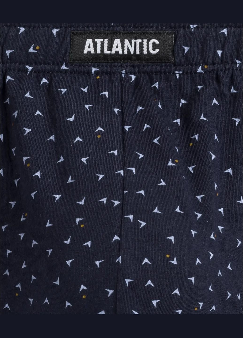 Мужские трусы слип Atlantic (324019096)