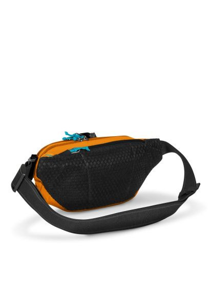 Сумка Eco Anti-Theft Waist Pack Терракотовая (41104231) Pacsafe Eco Anti-Theft Waist Pack Теракотова (358066758)