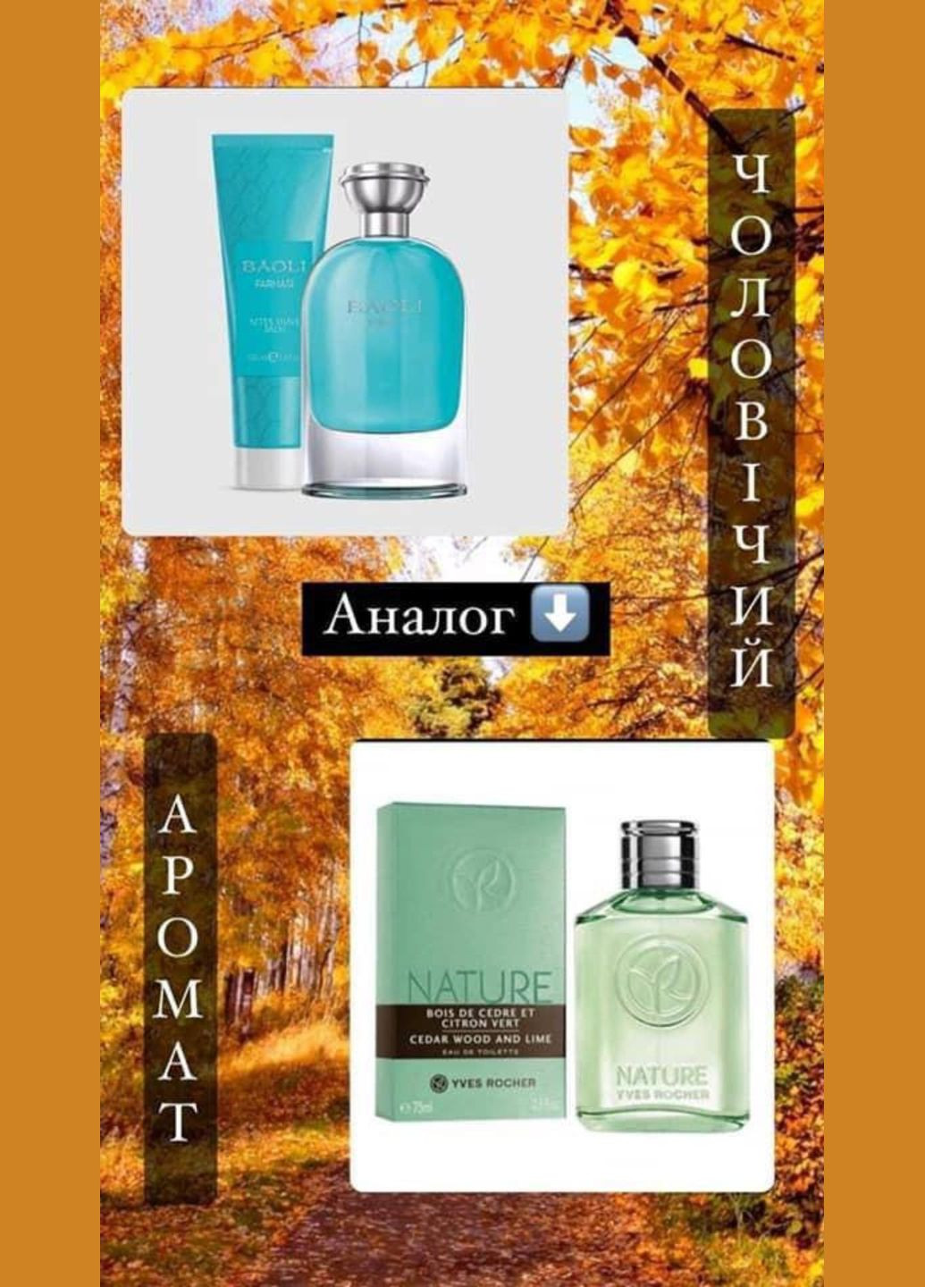 Тестер мужской парфюмированной воды Baoli 1,4 мл Farmasi (294946683)