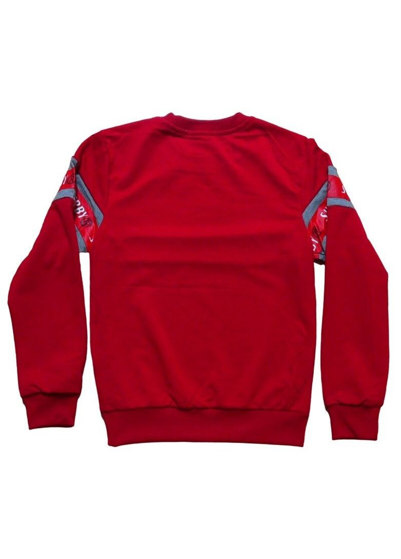 Sincere теплий світшот для хлопчика смужка червоний повсякденний