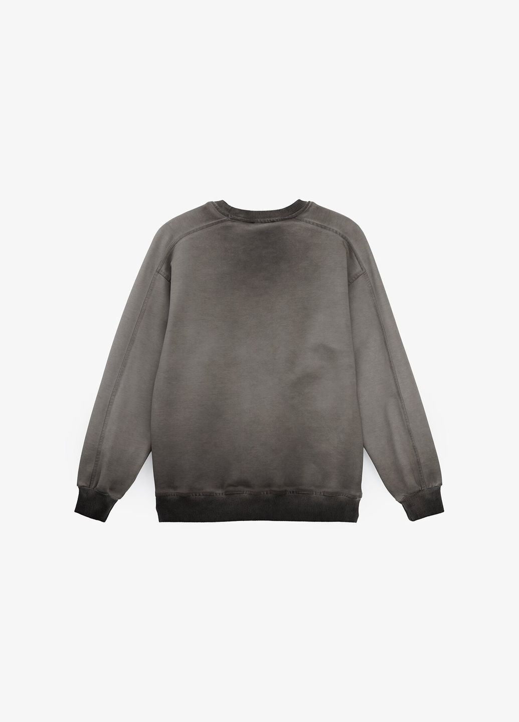 Leyz свитшот с принтом для мальчика 10066 146 см shop (2000990915771) синий повседневный