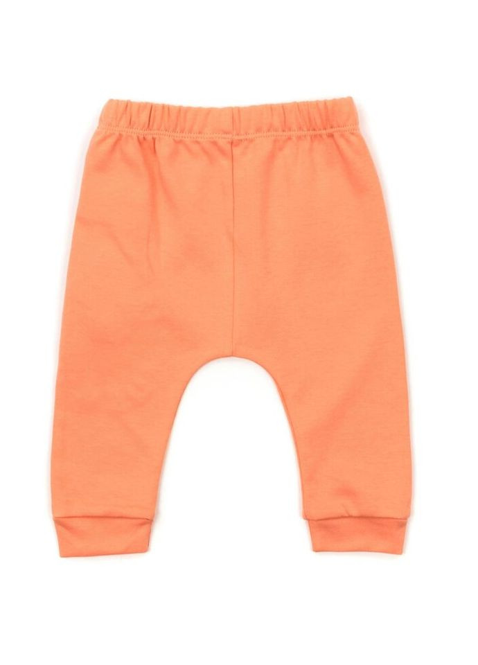 Комбінований демісезонний набір дитячого одягу з котиками (16317-68b-orange) Miniworld