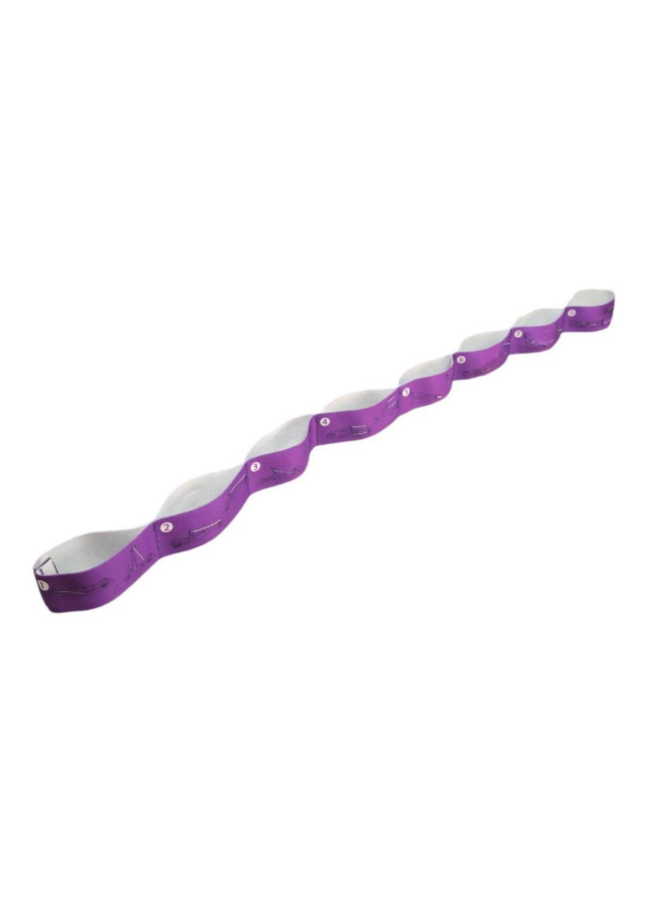 Эластичный ленточный эспандер сегментированный с 8 петлями WX-RT фиолетовый SNS (351503980)