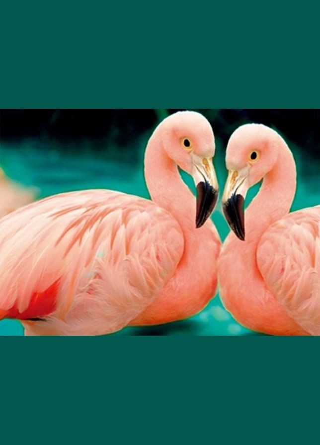 Алмазна вишивка Фламінго Мозаїка круглими стразами Рожеві фламінго 30х40 Малювання камінням на полотні GB77619 TK Group (313402334)