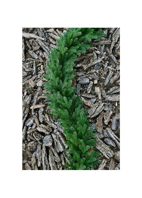 Гирлянда хвойная Traditional литая 2 м зеленая HVOYA (366963704)