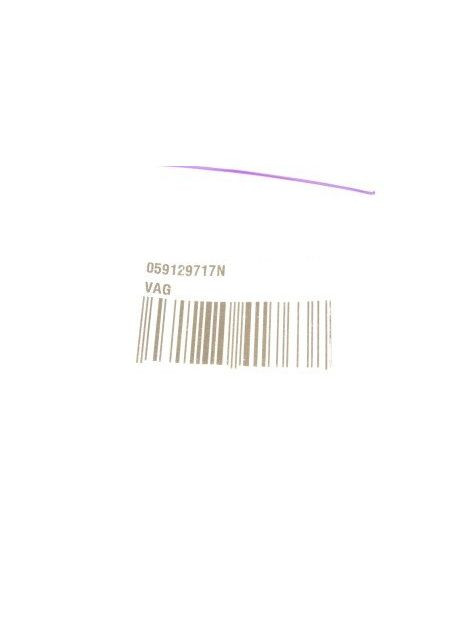 Прокладка 059129717N VAG (360491451)