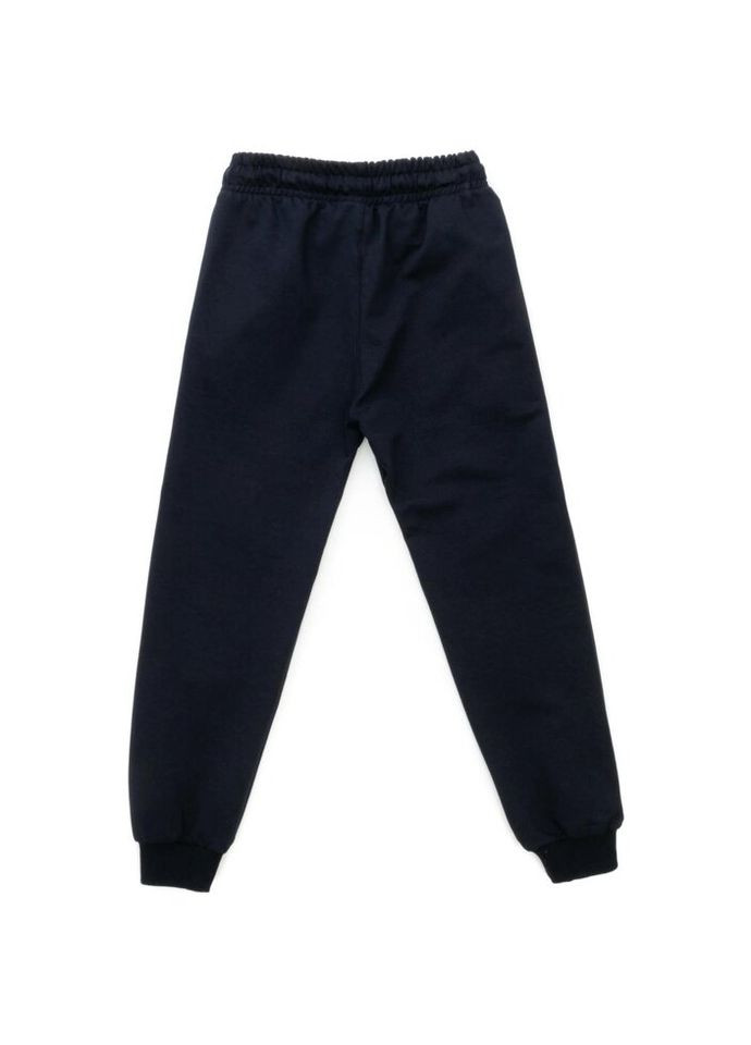 Темно-синие демисезонные брюки Joi