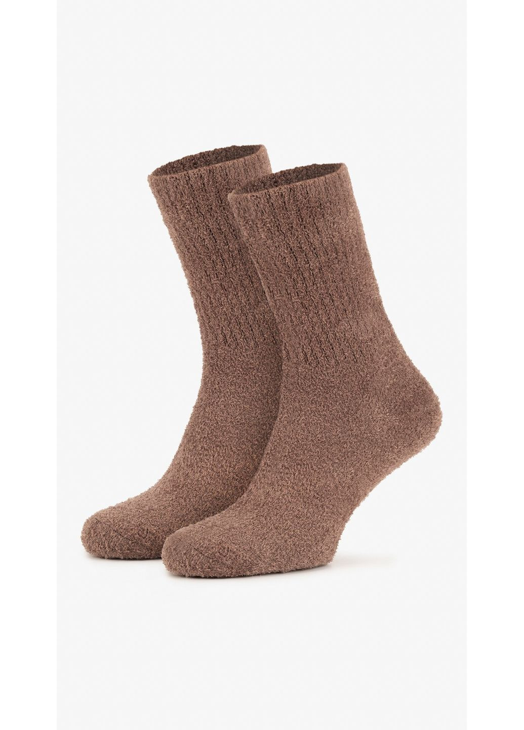 Коричневі шкарпетки жіночі ком36 shop (2000999327285) (365589569)