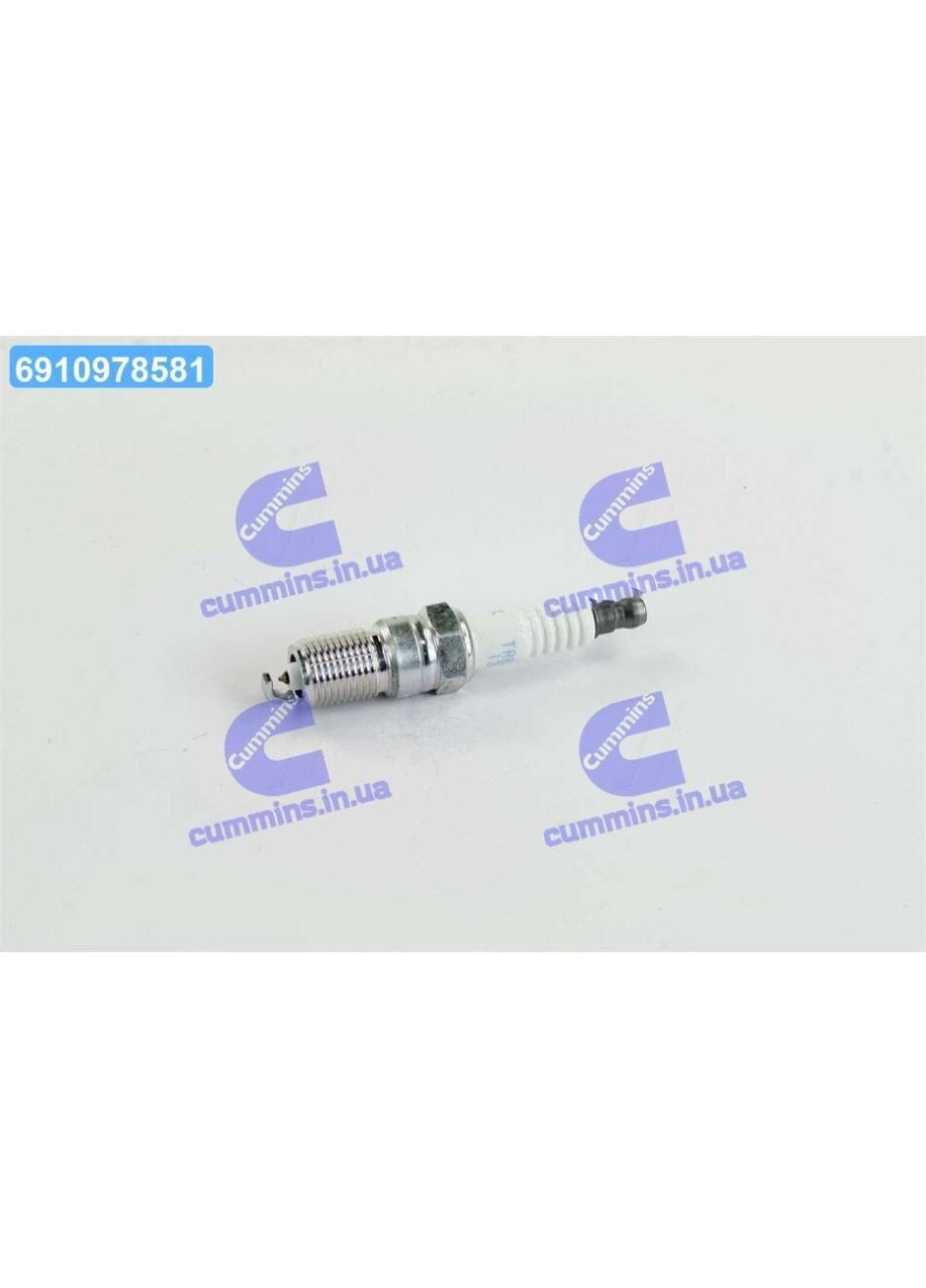 Свічка запалювання (вир-во ) TR6AP-13E NGK (366171284)