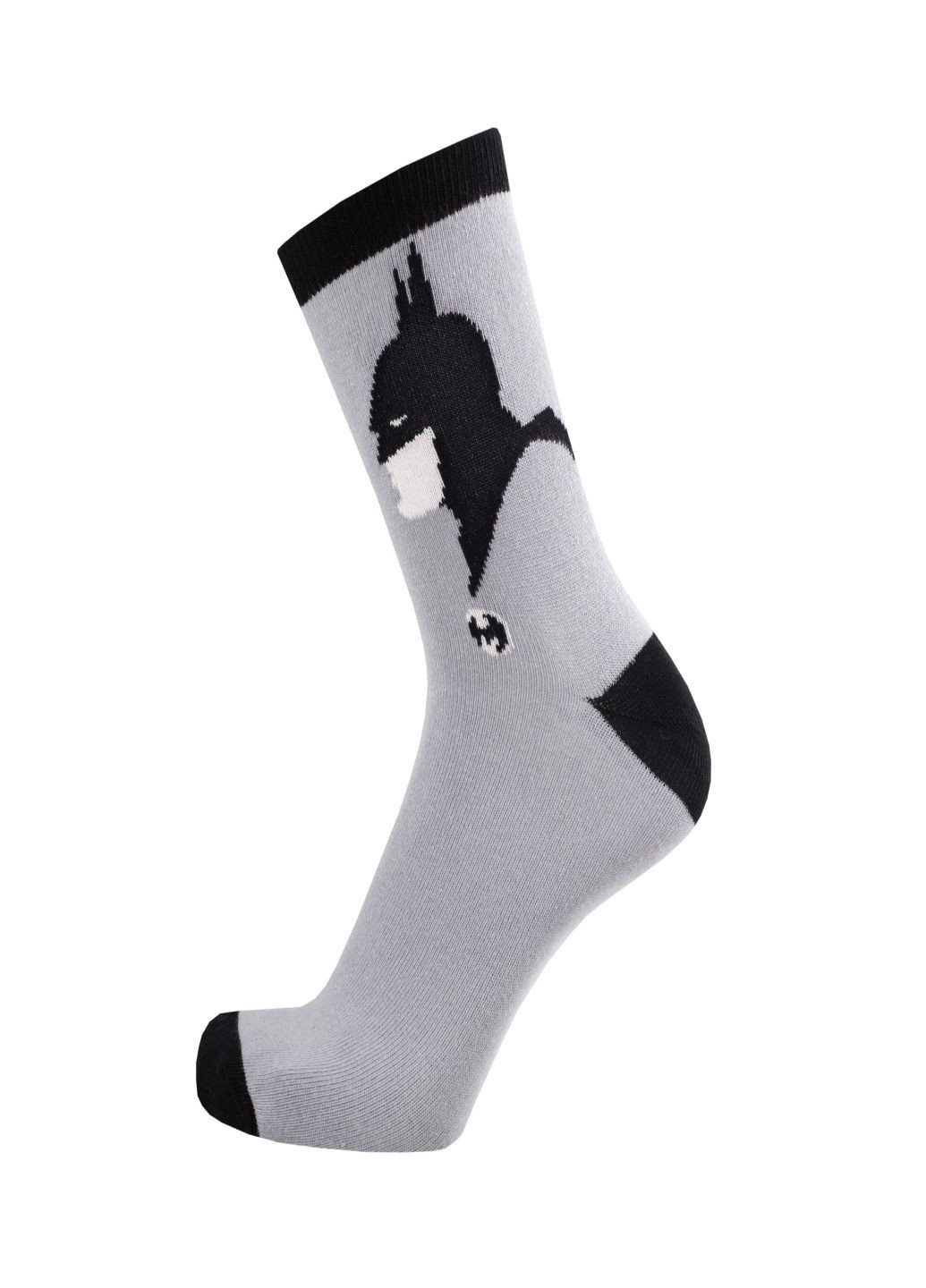 Набор (5 шт) детских носков Duna 5410_5 (305403984)