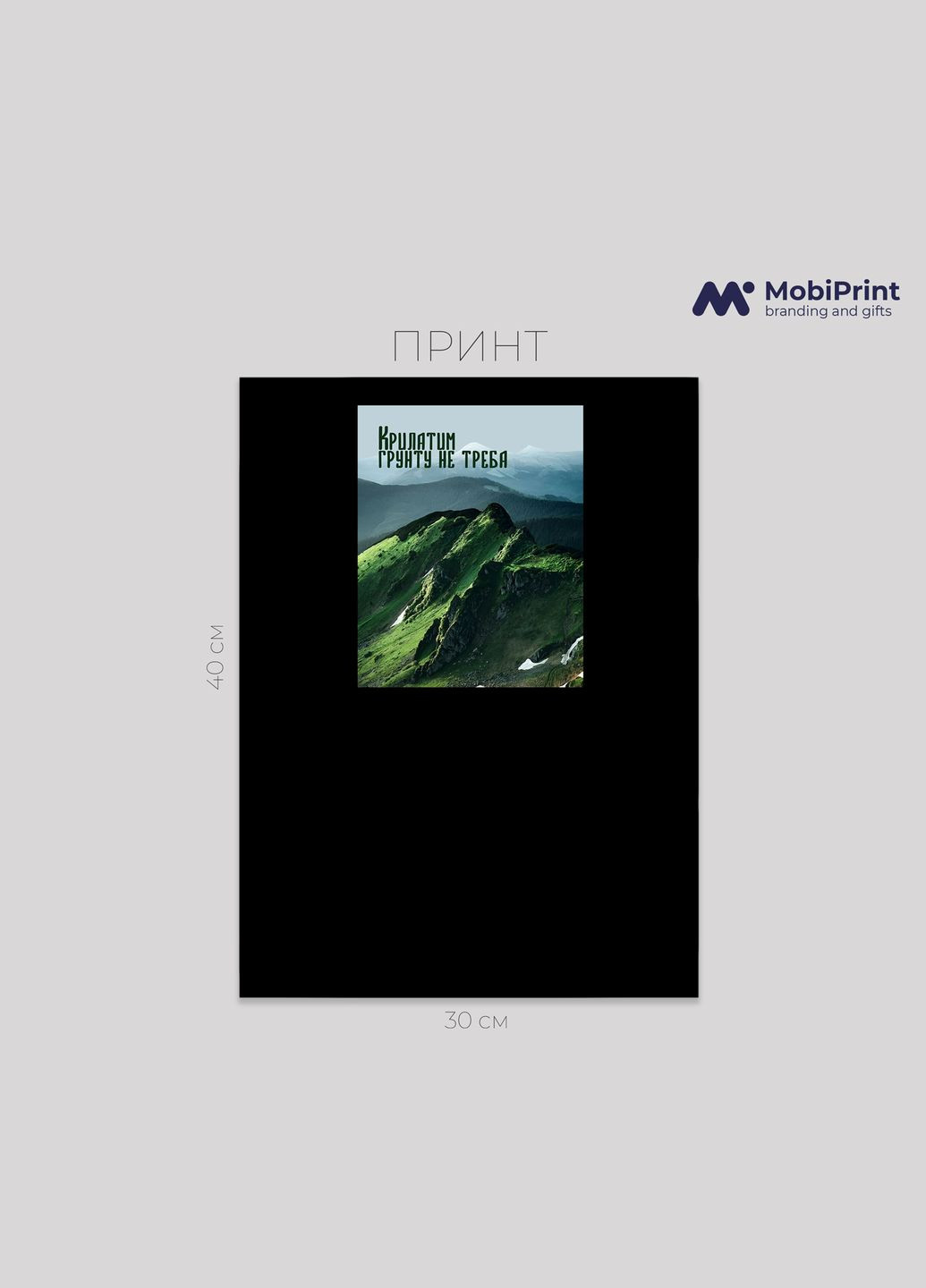 Футболка оверсайз Гори. Крилатим грунту не треба MobiPrint (293944099)