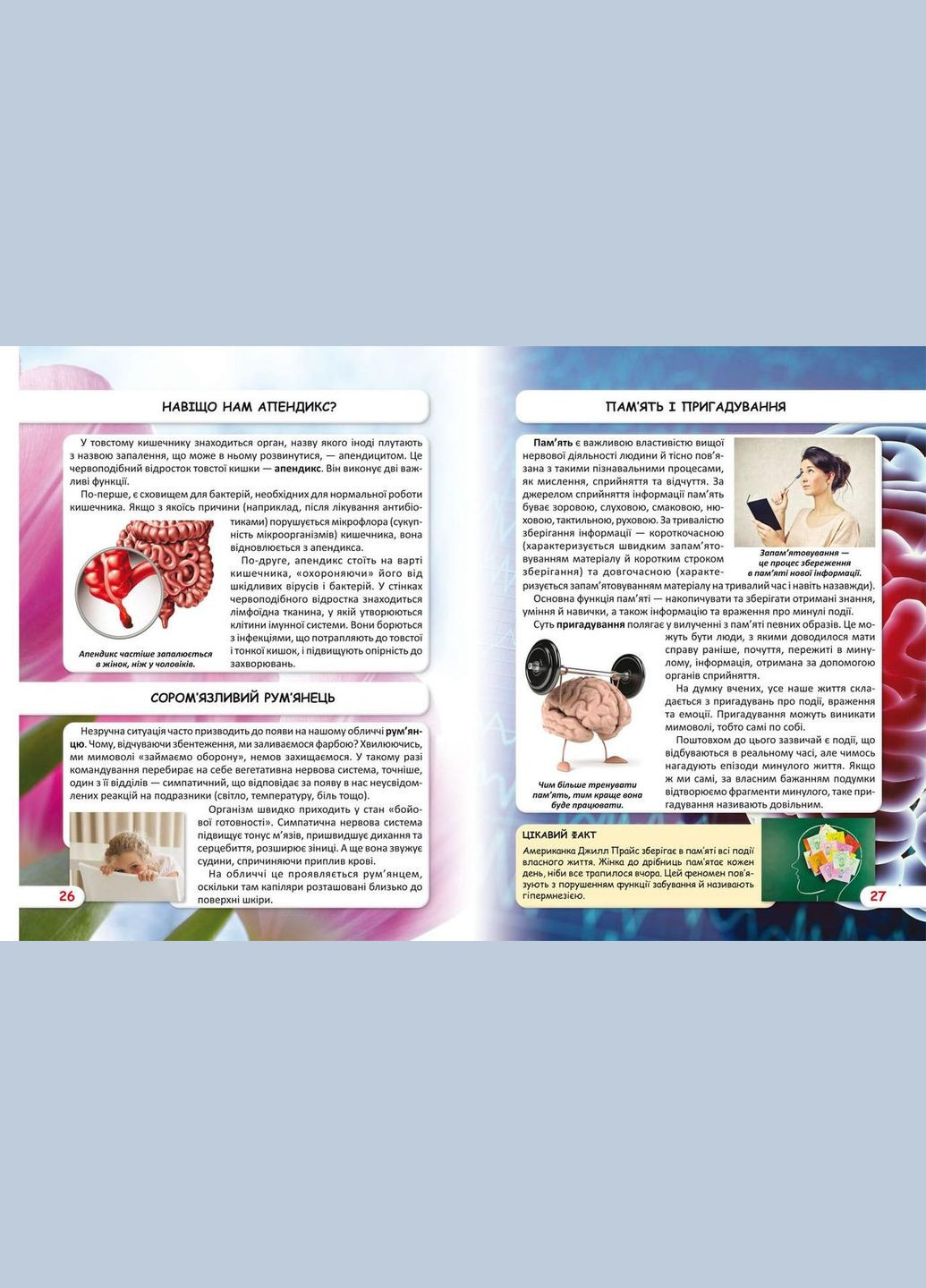 Мир вокруг нас. Как работает твое тело Кристал Бук (316084144)