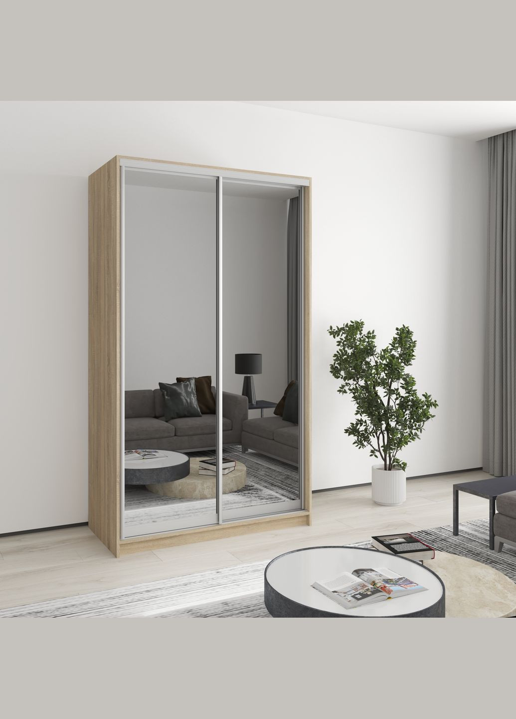 Шафа-купе дводверна Стандарт AL 2 Дзеркала 120x45x210 см (MBS-2479) MebelStar (346288253)