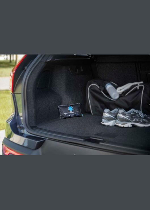 Влагопоглотитель автомобильный 2 шт. х 300 г Bison (317353450)