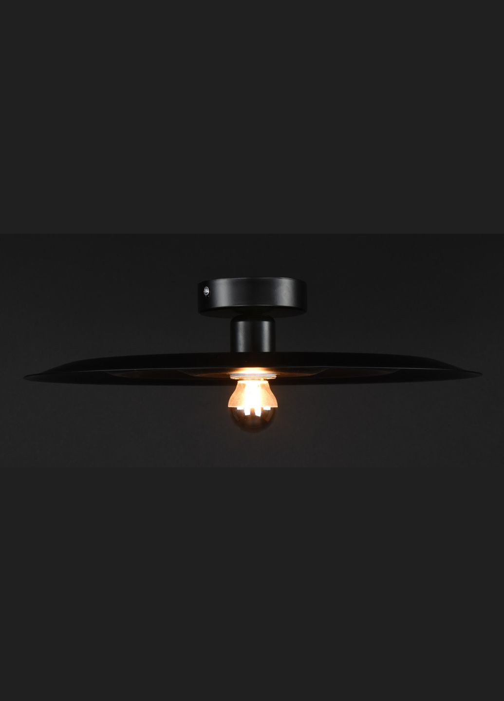 Люстра потолочная на 1 лампочку 27311 Черный 10х40х40 см. Sunnysky (364500465)