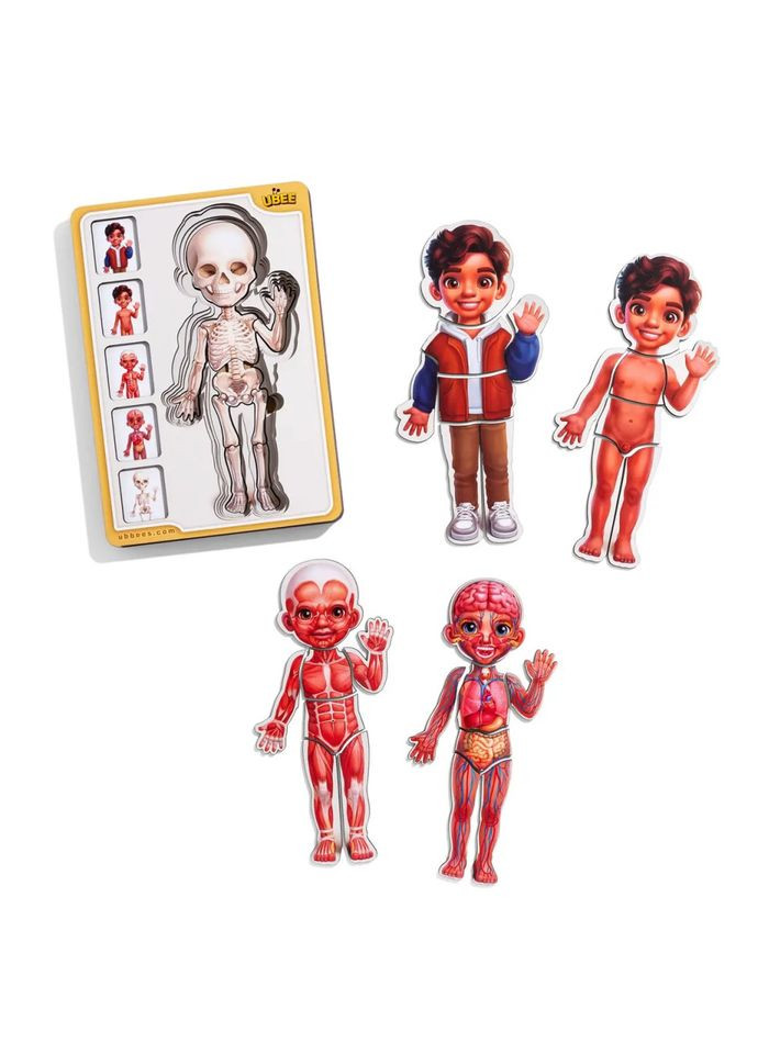 Дерев'яний пазл вкладиш "Анатомія людини хлопчик 2" (ПСД261) PSD261 будова тіла Ubumblebees (364131151)