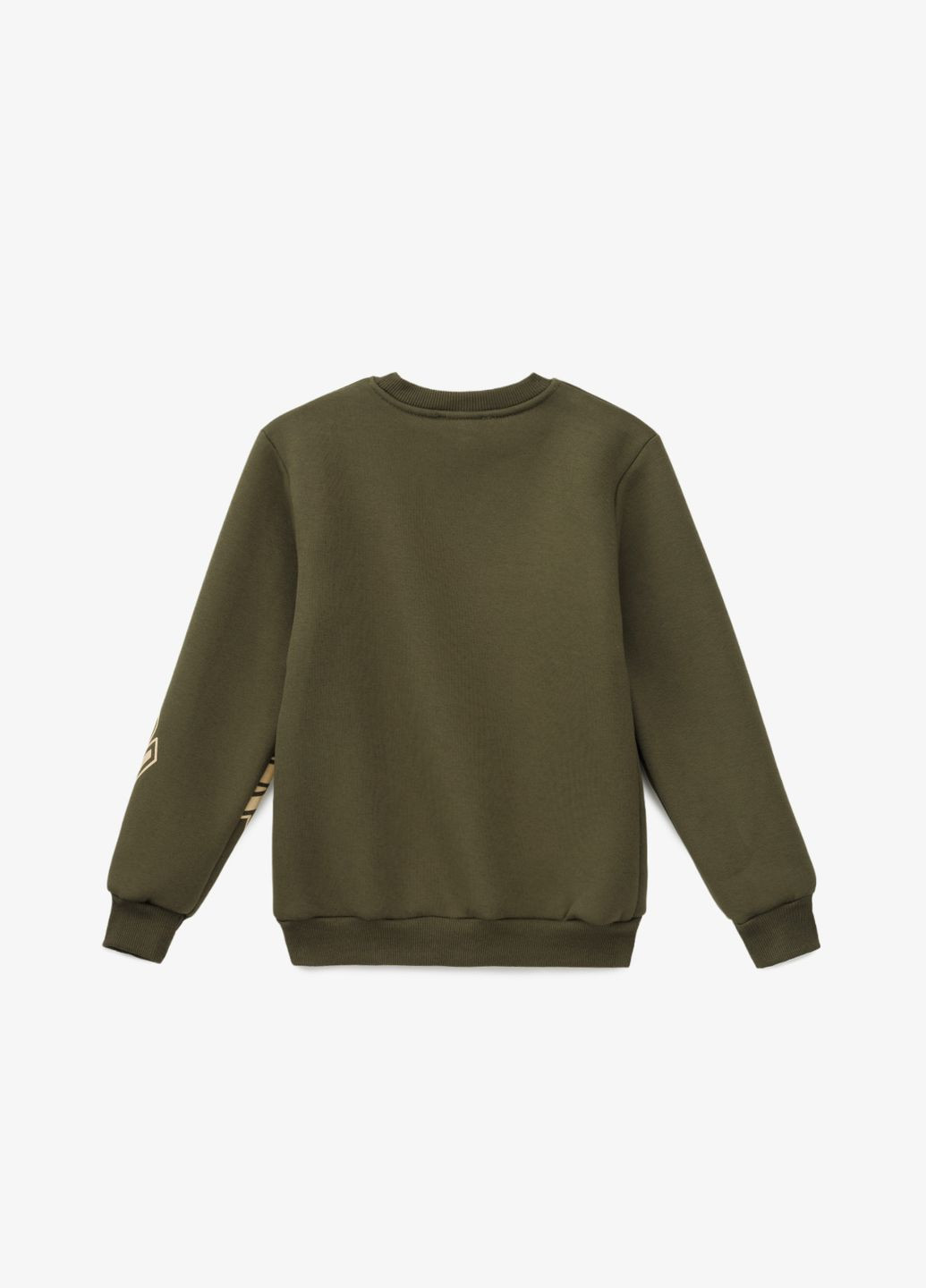 Atabey світшот з принтом для хлопчика 30703.1 116 см shop (2000990808721) хакі повсякденний бавовна, поліестер