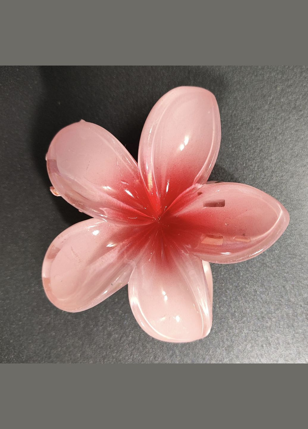 Заколка-крабік бант-метелик China (351897607)