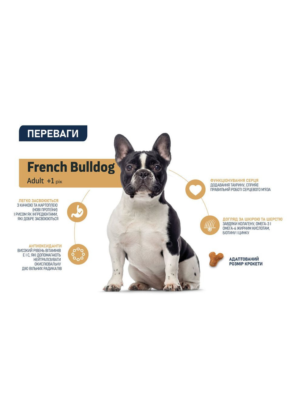 Dog French Bulldog для Французьких бульдогів з качкою Advance (372159043)