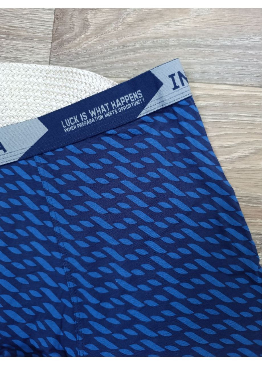 Мужские бамбуковые трусы – боксеры, с широкой резинкой. Indena (361268264)