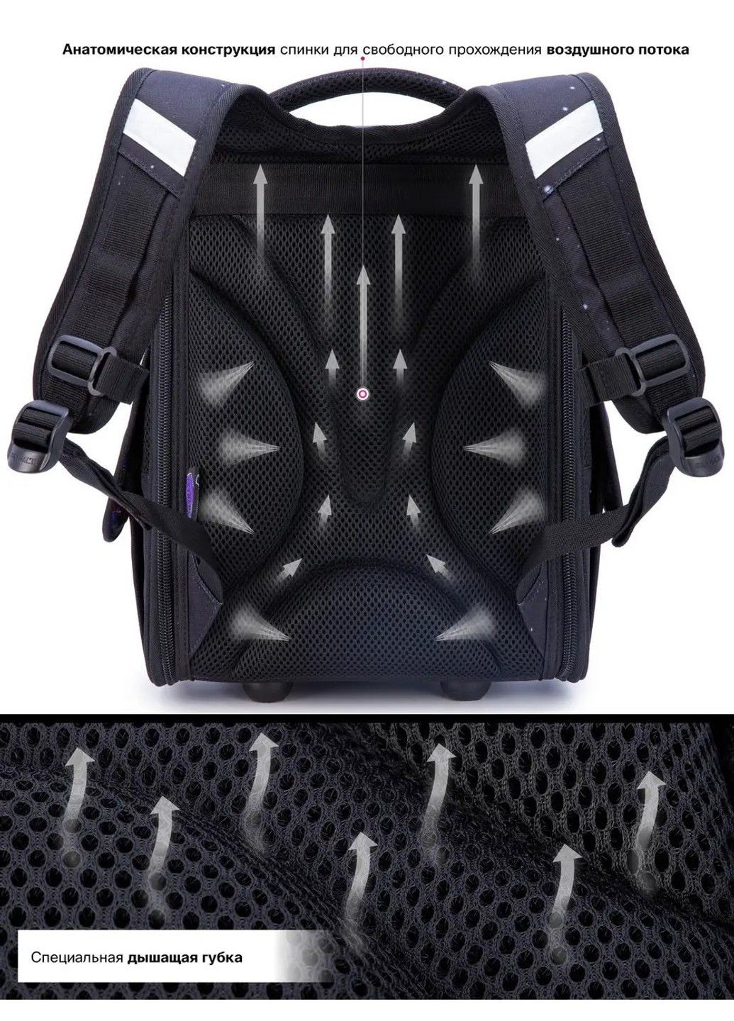 Ранец школьный для девочек SkyName 2098 Winner (331532366)