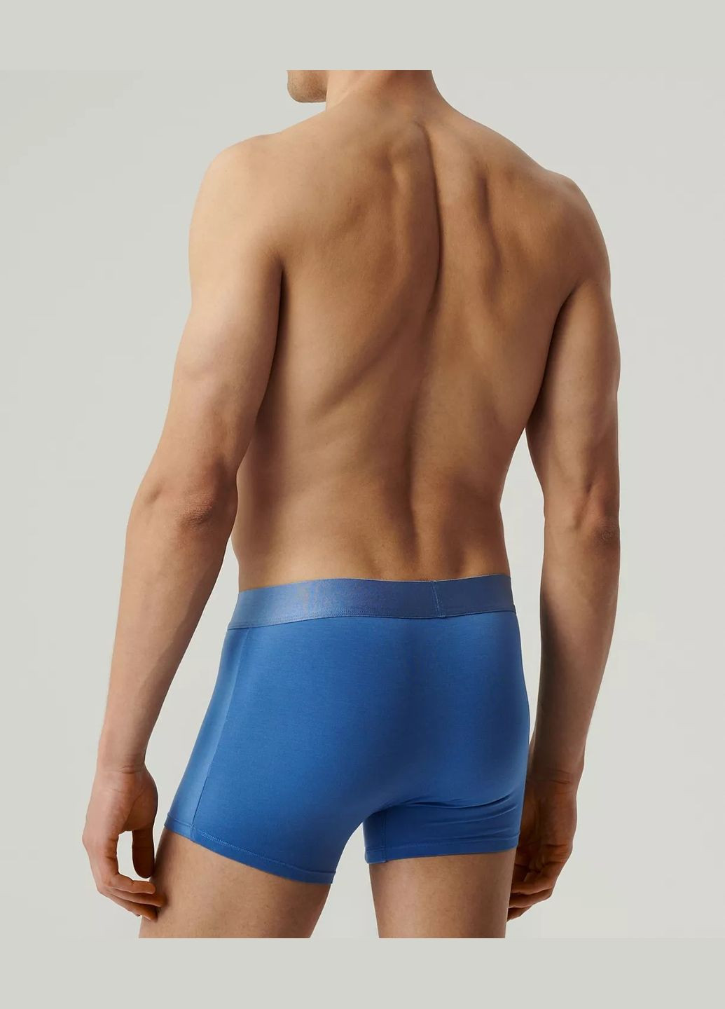 Мужские шорты боксеры Atlantic (335808081)