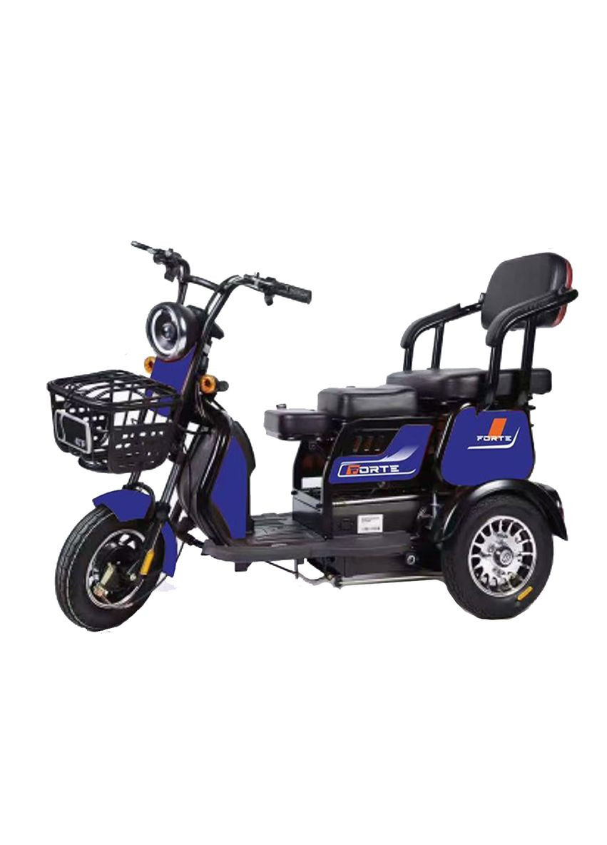 Трицикл аккумуляторный FAMILY-WS600 Forte (330781872)