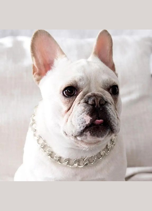 Ошейник - цепочка пластиковая украшение для собак и кошек цвет 40*2 см No Brand (299840093)