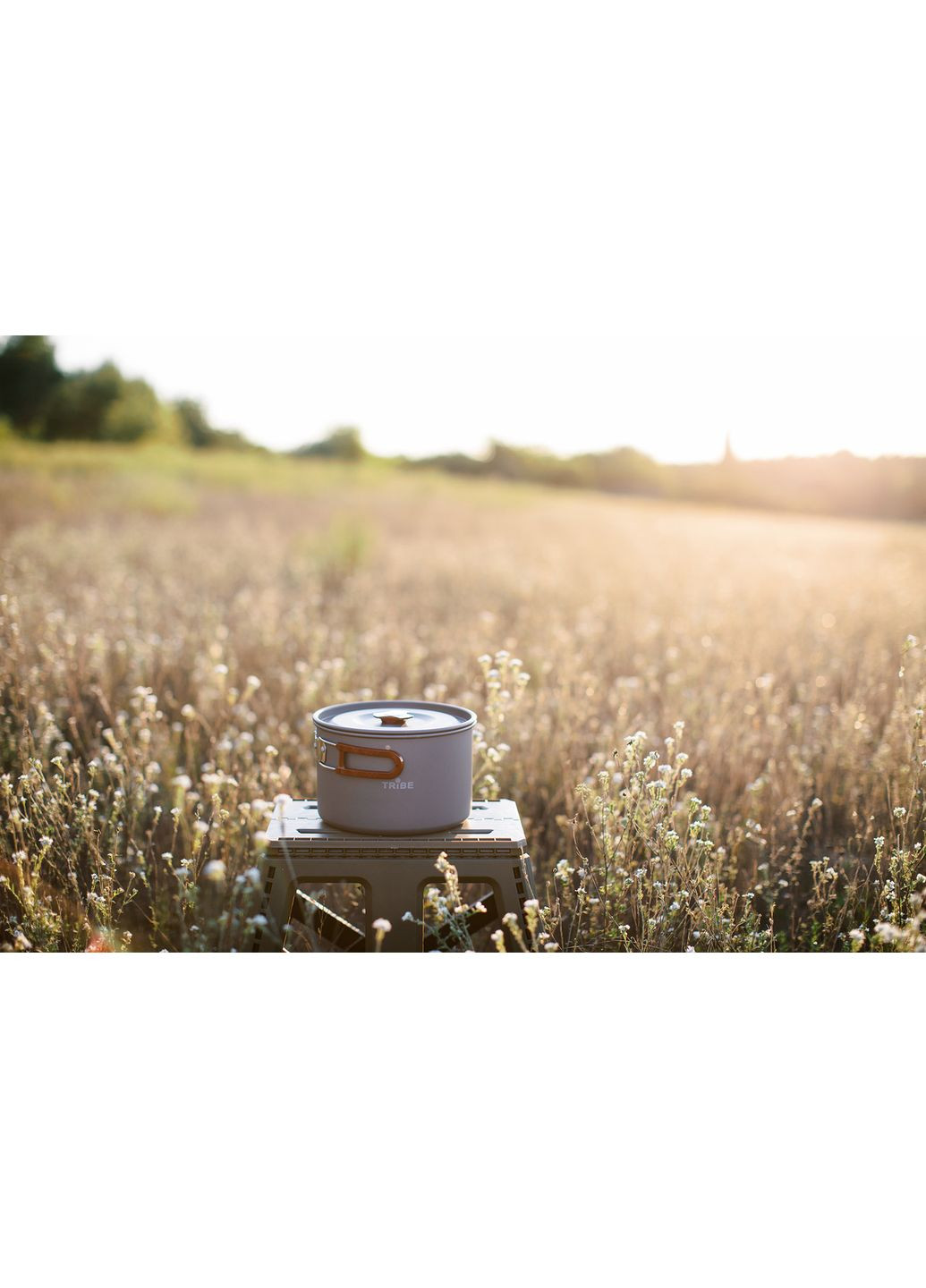 Котелок Pot 3 л Alu алюминиевый T-FH-0015-grey Tribe (368703625)