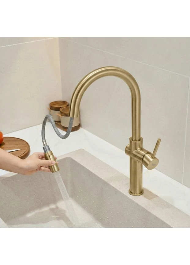 Змішувач для кухні FRESH HIGH BRUSHED GOLD Rea (400040953)