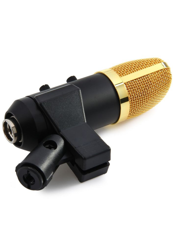 Студійний конденсаторний мікрофон WVNGR BM 700 V2 (MK F100) Чорний Boya (316658588)