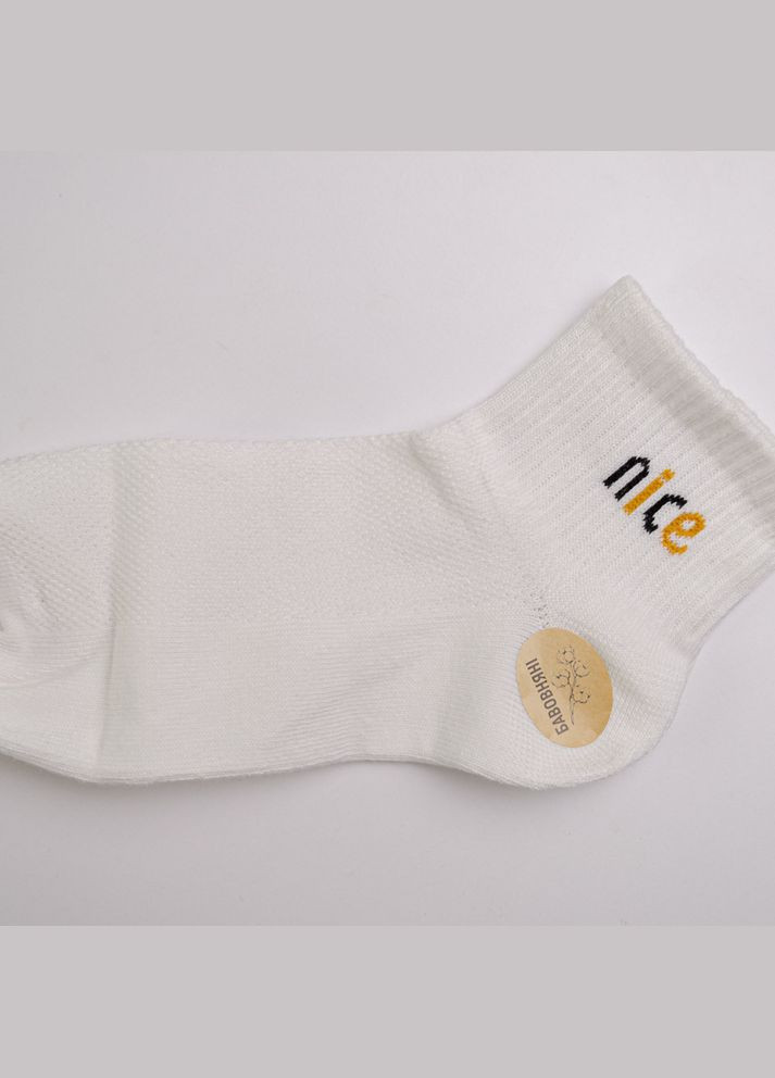 Белые набор носков женских хлопковых 10 пар youstar 093 низкие 37-41 белый GM Textile (339042286)