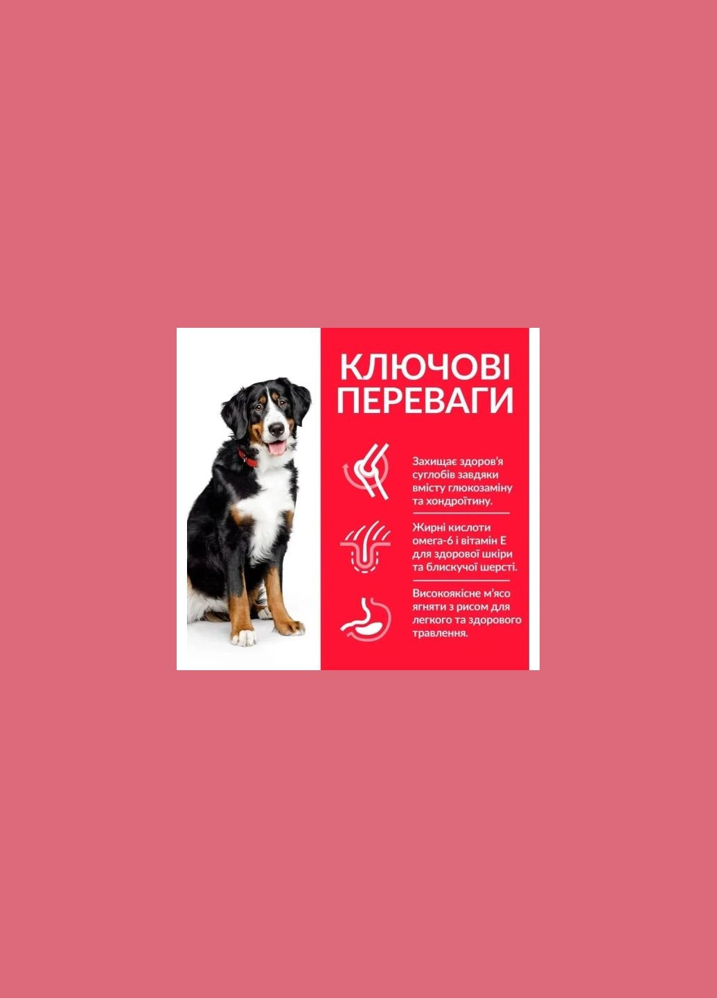 Сухой корм для собак Science Plan Adult Large Breed Lamb & Rice 14 кг (604373) Hill's (338255907)