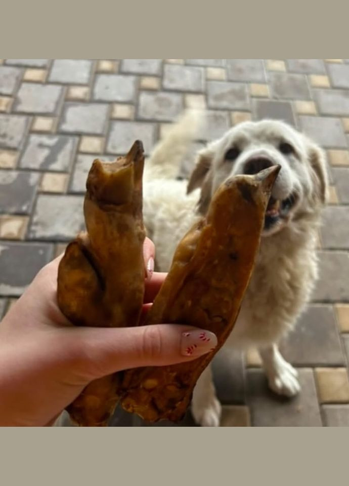 Натуральное лакомство для собак ножки кабанчика сушеные половинки " " (Бетховен) 2 пол/уп Bethowen (326597397)