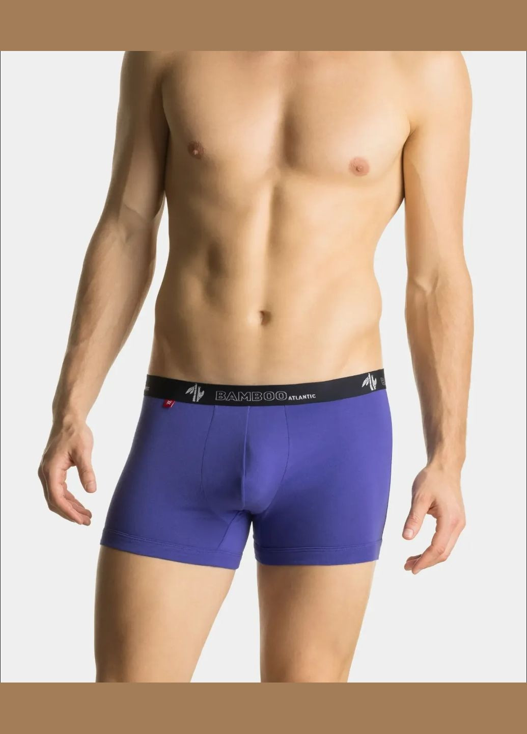 Чоловічі труси шорти Atlantic (335808083)
