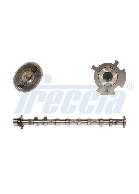 Вал розподільчий IN VAG BLR/BLX/BVZ CM05-2248-ua Freccia (366171887)