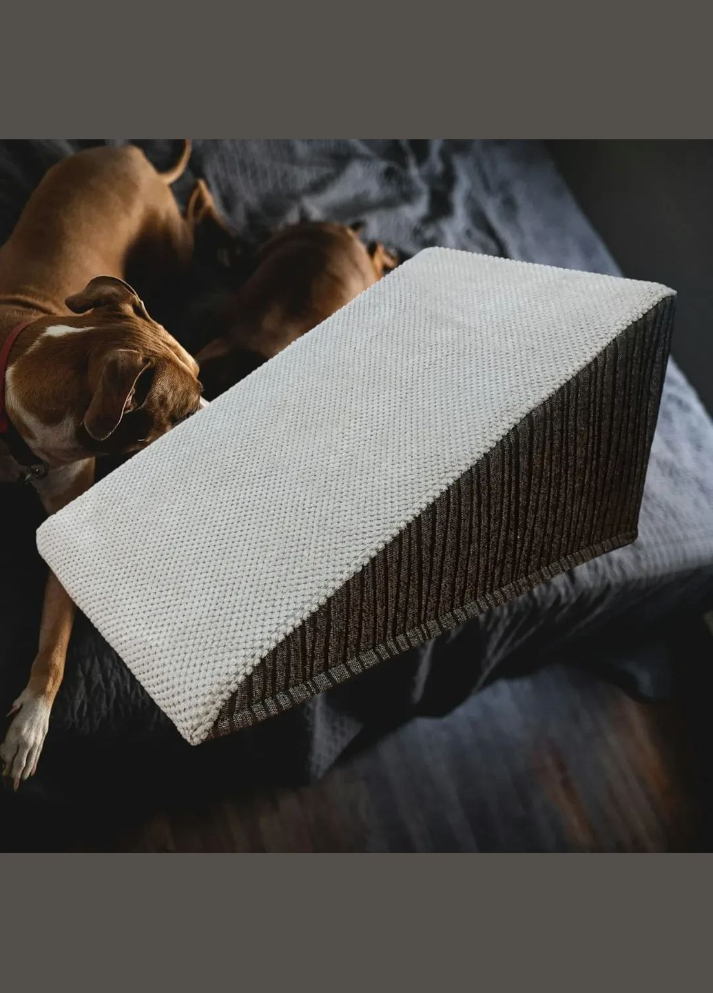 Лестница для собак Premium 40х70х40 см, стремянки и ступеньки для собак, лестницы для собак, стремянки для собак No Brand (339786524)