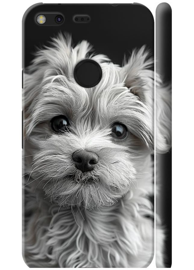 3D пластиковий матовий чохол 'Мальтипу на чорному фоні' для Endorphone Google Pixel XL (297661416)