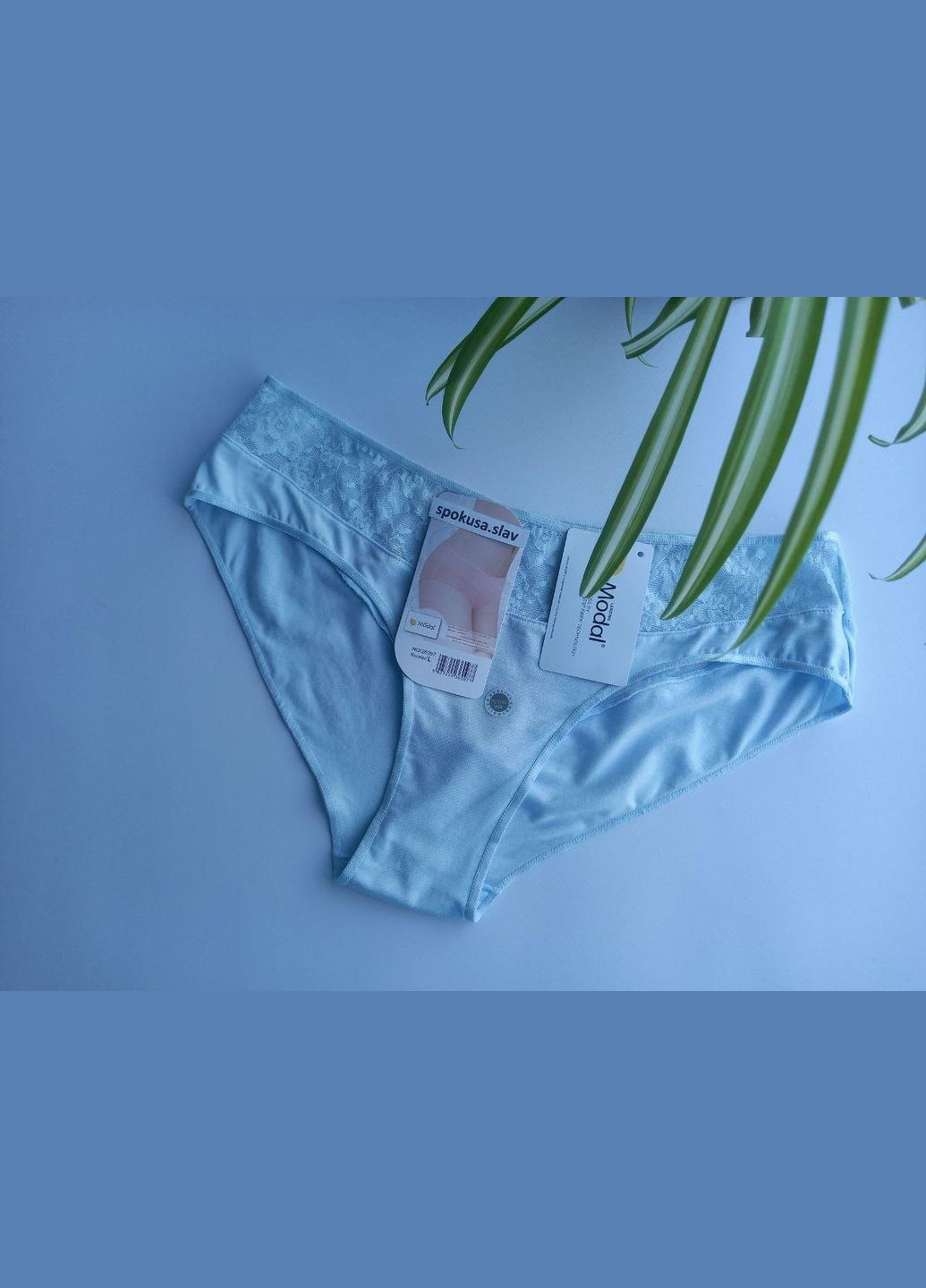 Жіночі трусики сліпи блакитні віскозні ДС 26097 розмір Л. 48 DC (368787873)