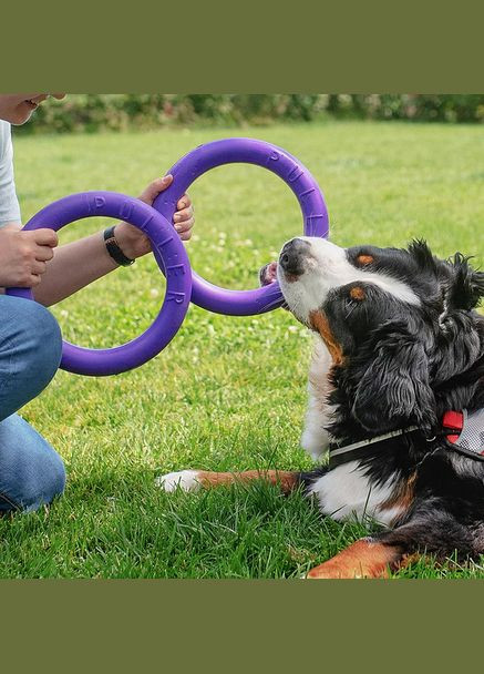 PULLER STANDARD фітнес-іграшка для собак Ferplast (335587762)