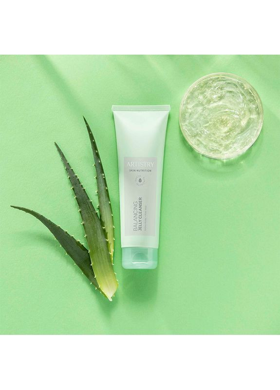 Amway Гель-желе для очистки лица с эффектом матирования Artistry Skin Nutrition, 125 г Амвей — Крем, США (334710853)