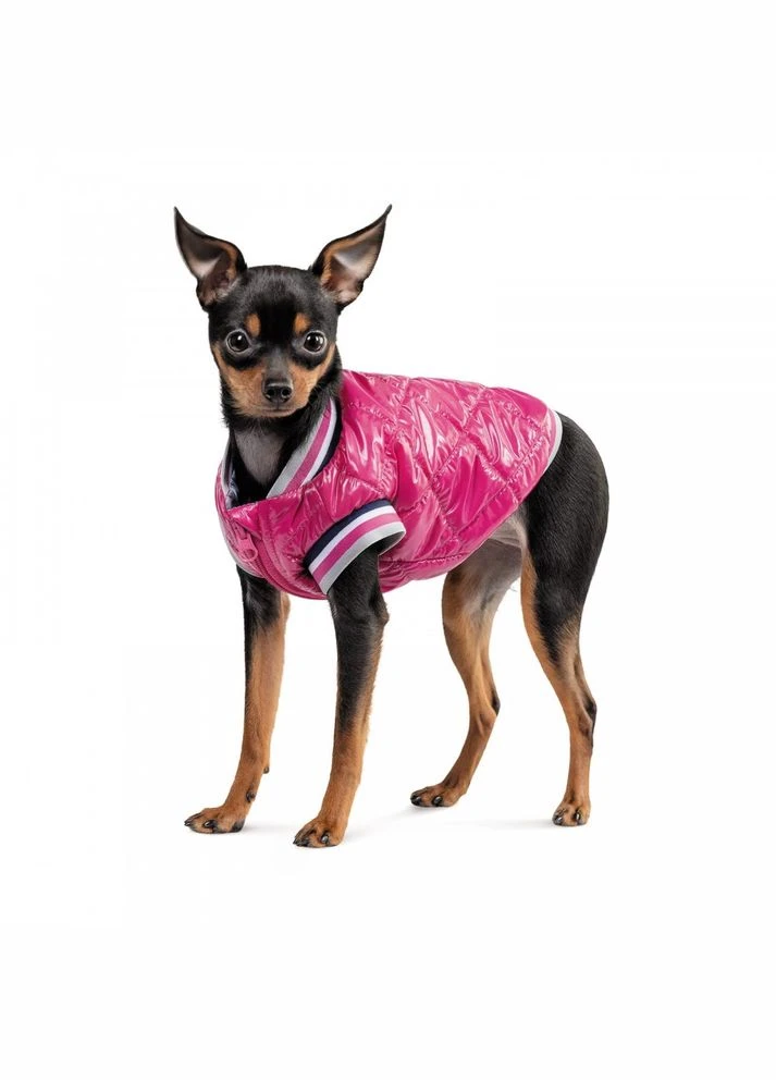 Бомбер для собак дрібних порід Grace, рожевий XXS Pet Fashion (402783760)