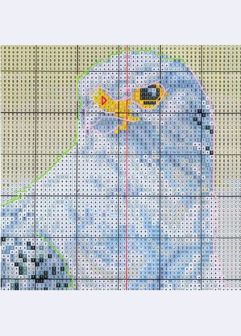 Набор для вышивания по нанесённой на канву схеме"Falcon".AIDA 14CT printed, 60*47 см Joy Sunday (313614536)