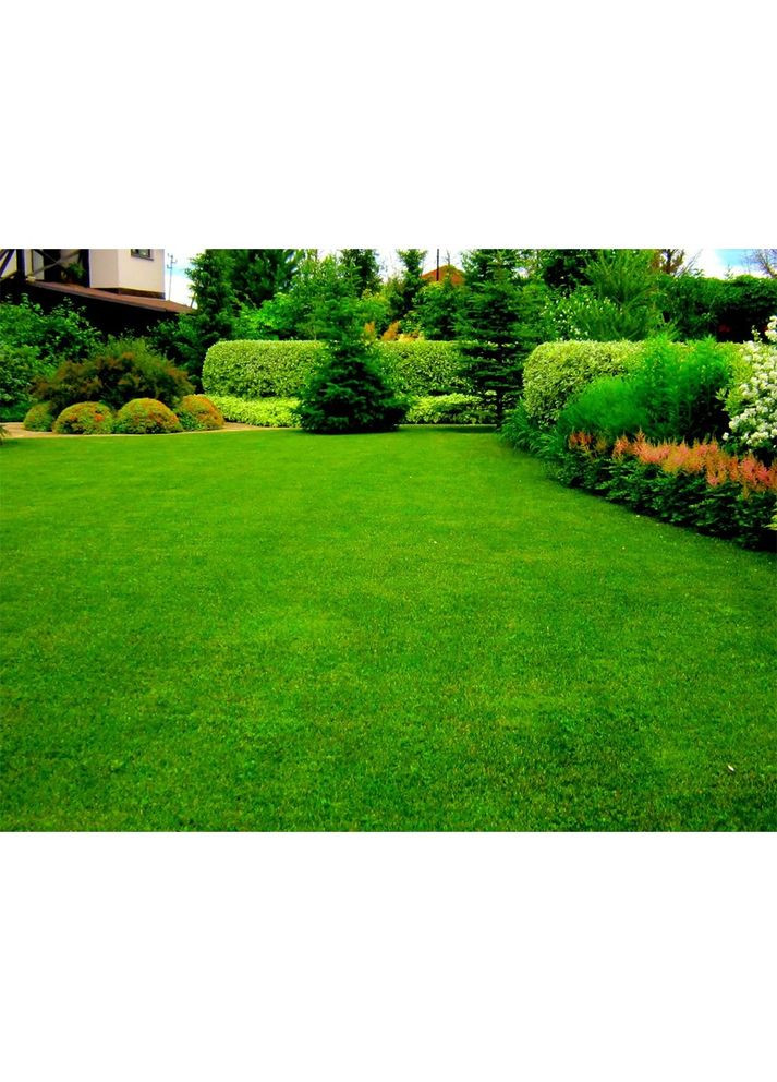 Тверде добриво для газонів 2 кг 5283 Compo (316622087)