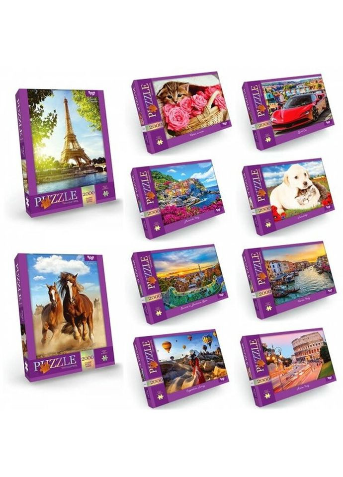 Пазли C2000-01-01-02-03-04-10 2000 деталей Danko Toys (335585303)