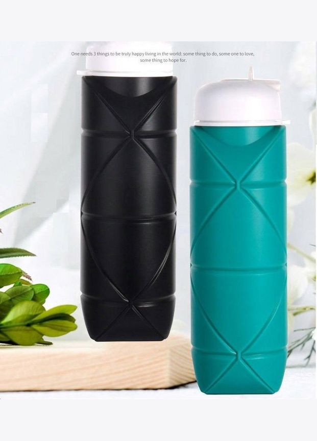 Складана силіконова пляшка для води та напоїв з карабіном 600 мл Бірюзовий (R051121) Water Bottle (349843562)