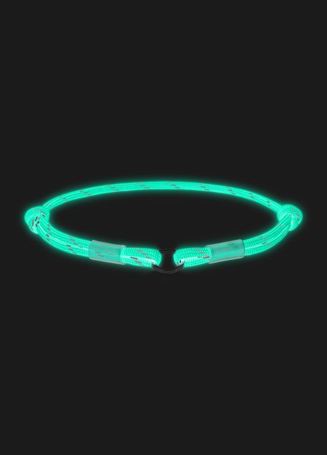 Шнурок для адресника з паракорду Smart ID, що світиться, світловідбиваючий, M, Д 4 мм, Дл 42-76 см блакитний WAUDOG (333799825)