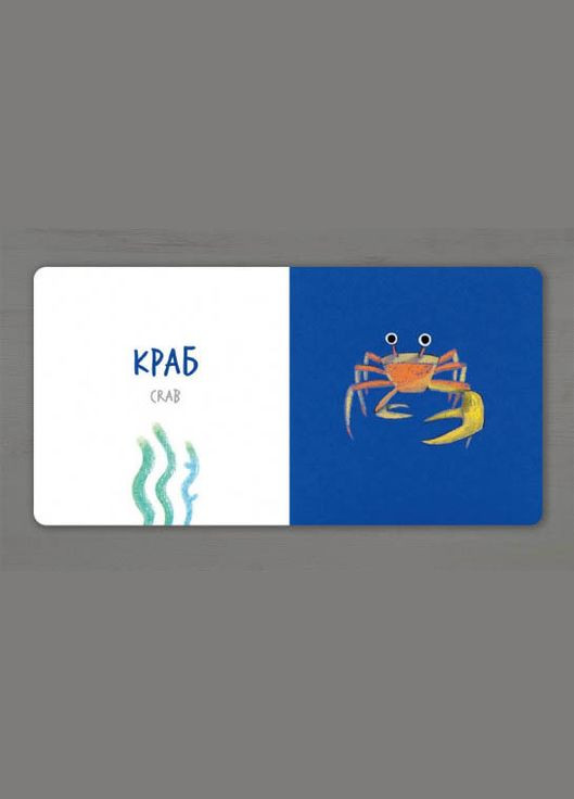 Книга картонка Морские животные Катя Табреко (9786177395170) Artbooks (316081527)